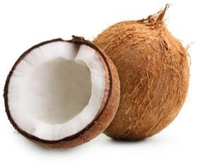 Coconut