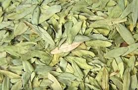 Dried Senna Leaves