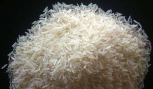 Sugandha White Steam Basmati Rice