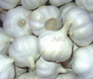 Fresh Garlic