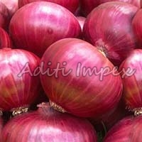 Fresh Onion