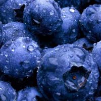 Frozen cultivated blueberries