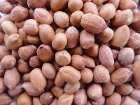 Hps Groundnuts