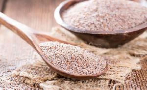 Psyllium Seeds