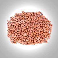 Hps Groundnuts