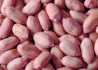 Hps Groundnuts