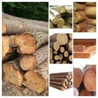 Timber Logs