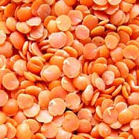 Red Lentils