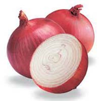 Fresh Onion