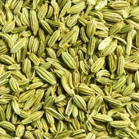 Fennel Seeds