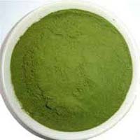 Gymnema Sylvestre Powder