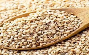 Natural Sesame Seeds