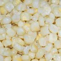 White Maize Seeds