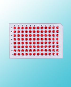 PCR PLATES FAMILY