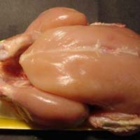 Frozen Whole Chicken without Skin