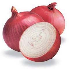 Fresh Red Onion