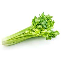 Fresh Celery