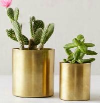 Brass Flower Pots