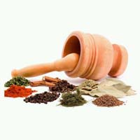 Indian spices