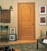 pvc flush door