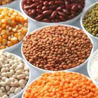 Organic and Non Organic Pulses