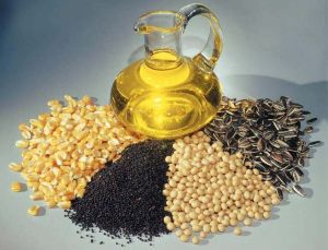 Oil Seeds