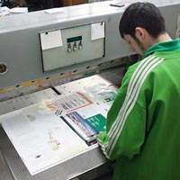 Printed Sheet Cutting Services