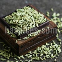 Fennel Seeds