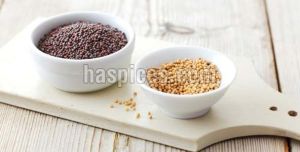 Mustard Seeds