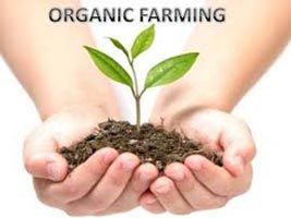 Land for Organic Farming