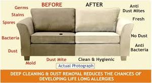 sofa dry cleaning services