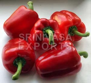 Fresh Red Capsicum