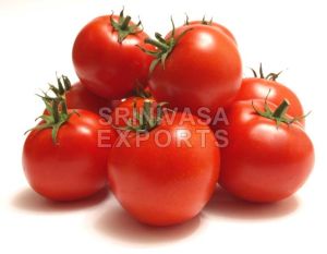 Fresh Tomato