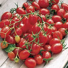 Hybrid Tomato Seeds