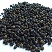 Black Pepper Seeds