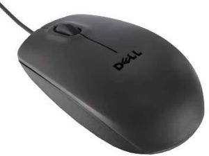 Computer Mouse