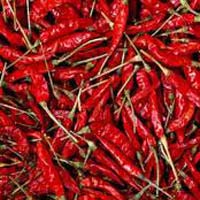 Dried Red Chilli