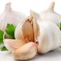 Fresh Garlic