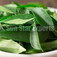 Curry Leaves