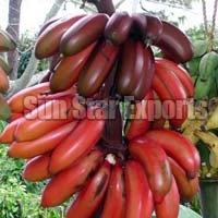 Red Banana