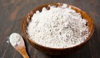 Diatomaceous Earth