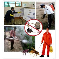 Pest Control Services