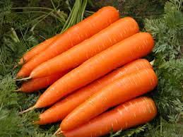 Carrots