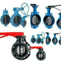 Butterfly Valve