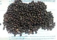 Black Pepper bold