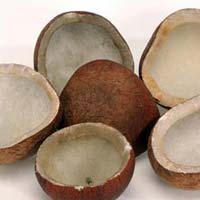 Dry Coconut