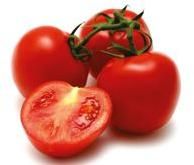 Tomato Pulp