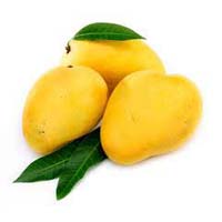 Fresh Alphonso Mango