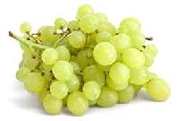 Oragic Grapes