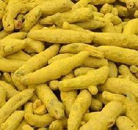 rajapuri turmeric